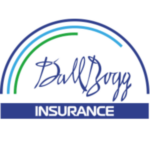 Logo partnera DallBugg - ubezpieczenia zawodowe i specjalistyczne Chorzów Czeladź